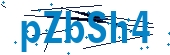 recaptcha